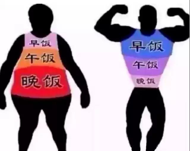 【健康饮食】晚饭决定体重和寿命?过好过饱过饥都会...(图3)