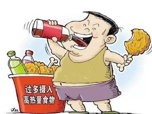 营养过剩是罹患恶性肿瘤的重要原因！(图4)