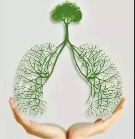 肺结节=肺肿瘤?有这5个特征，可能会悄悄恶变成肿瘤(图3)