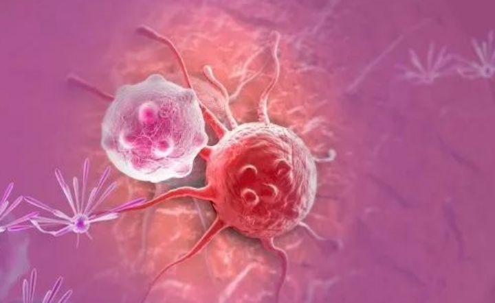 【肿瘤科普】人人都有肿瘤细胞，为什么不是人人都患肿瘤?(图2)