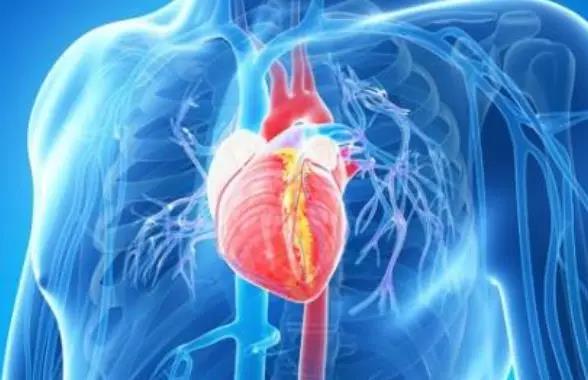 【揭秘】为什么很少听说心脏肿瘤、脾肿瘤?(图1)