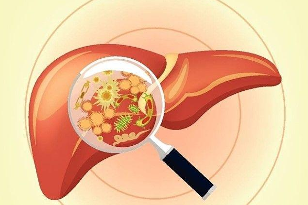 得了乙肝，有多大概率会恶化成肝癌？(图2)