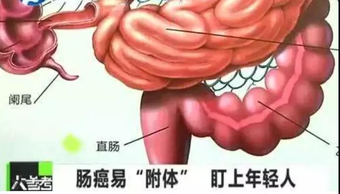 【提醒】大数据显示，中国39岁以下患肿瘤人数飙升....(图3)