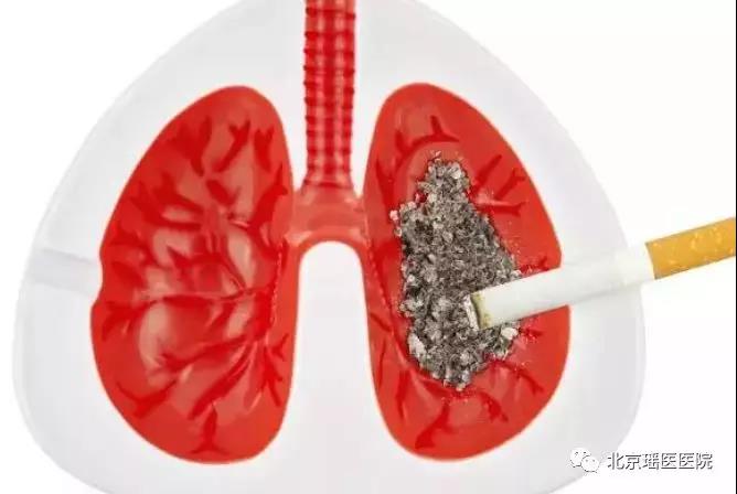 【肿瘤科普】每天3000人死于烟草，吸一口等于接触...(图3)
