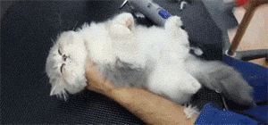 “菊部地区”的毛可以脱吗？关于肛毛，正确的姿势在这儿(图3)