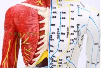 经络堵，百病生——身体存在六个状况，表明你的经络...(图2)