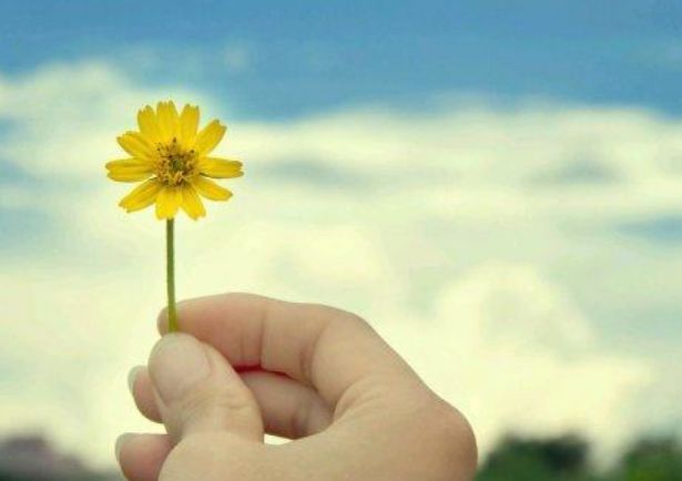 肿瘤晚期也能长期生存的患者特点(图2)