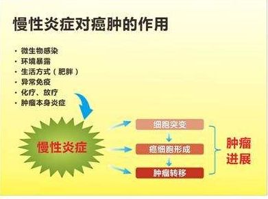 炎症距离肿瘤有多远? 警惕炎症可能成为肿瘤“帮凶”(图2)