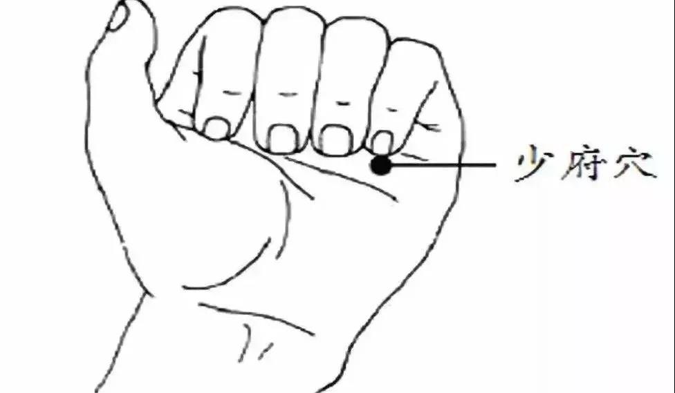 提醒 | 肝怕堵、心怕累、肾怕....看看你的五脏有多累(图3)