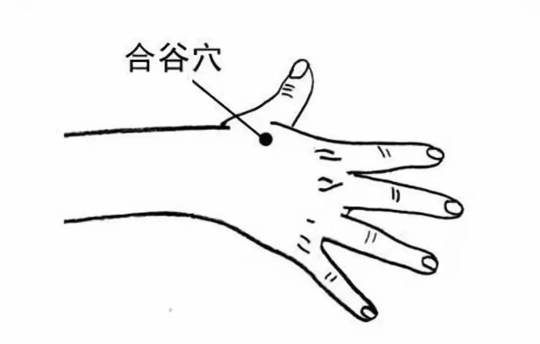 提醒 | 肝怕堵、心怕累、肾怕....看看你的五脏有多累(图7)