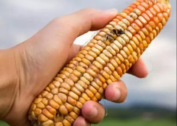 【注意】这些都是公认的一级致肿瘤物!现在看还不算晚(图2)