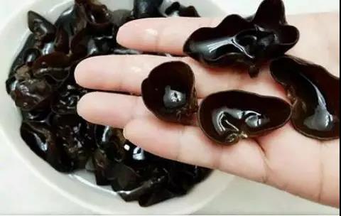 【防瘤抗瘤】木耳被称为“血管清道夫”，常吃排毒抗...(图7)