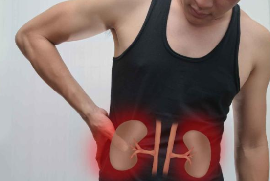 肾脏是身体的“劳模”，出现6个信号，也许是它在喊“救命(图1)