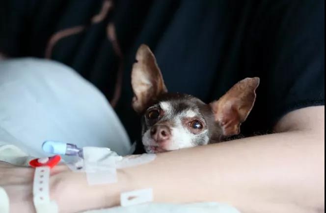 早餐最好别吃这3种食物，不仅吸收差，还破坏肠胃!(图4)