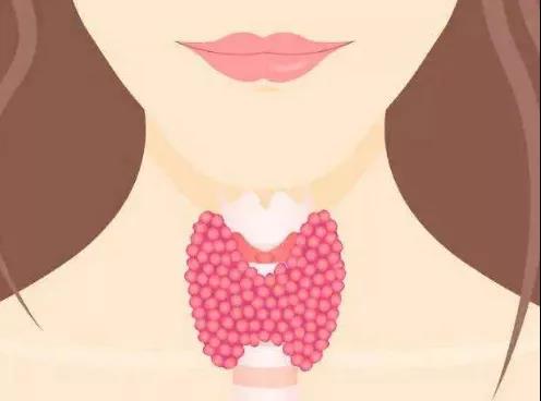 甲状腺癌为何会重女轻男?(图2)