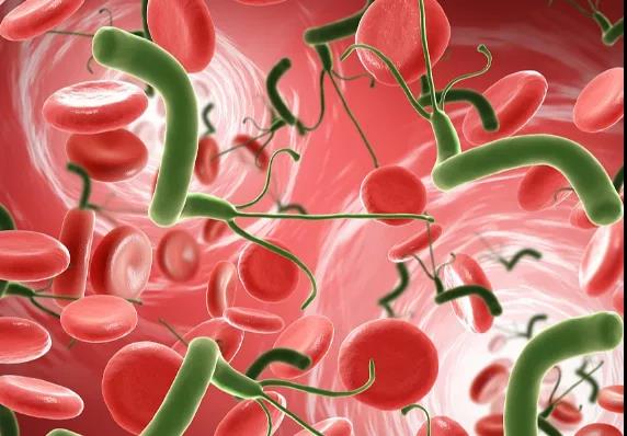 比起“新冠”，这4种病毒不仅擅长伪装，还可能致癌(图2)