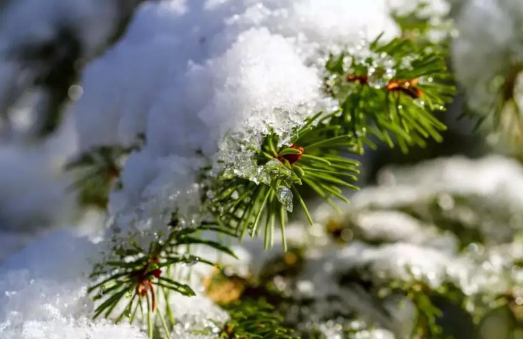 【提醒】关于脂肪肝有2个误区，日常做到这几点，帮助改善(图2)