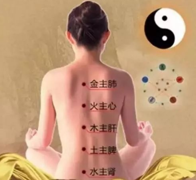 通则不痛，痛则不通!这6个现象说明你的“经络”堵了(图4)