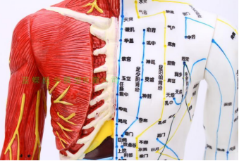 身体存在六个状况，表明你的经络“堵”了，赶紧自查!(图2)