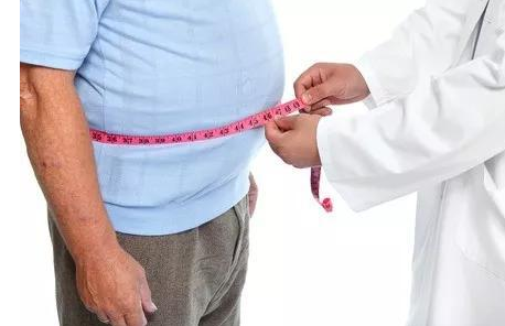 研究证实：吃进去的脂肪，喂饱了癌细胞，却饿坏免疫细胞!(图2)