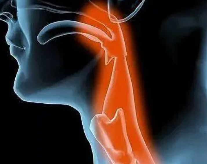 喝粥养胃?这两种病人却不能喝!很多人都不知道(图3)