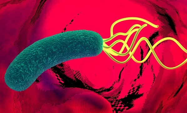 这5种症状一出现，你可能已经是胃癌的“接班人”(图2)