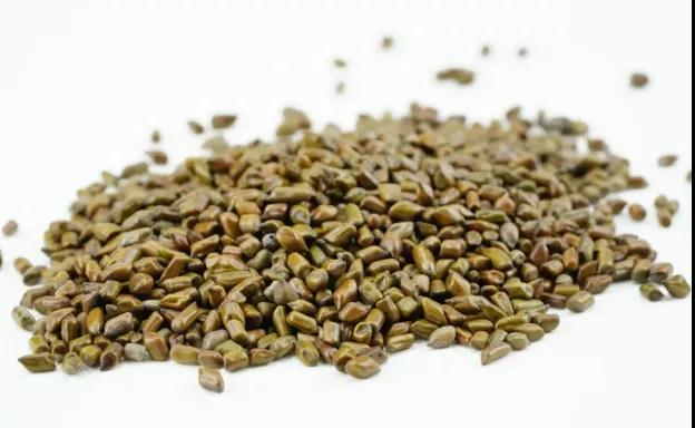 【提醒】中药不能随便吃，必须要知道这几个禁忌!(图8)