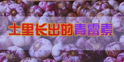 我国近6亿人感染幽门螺杆菌!专家：这样吃“蒜”能预防!(图2)