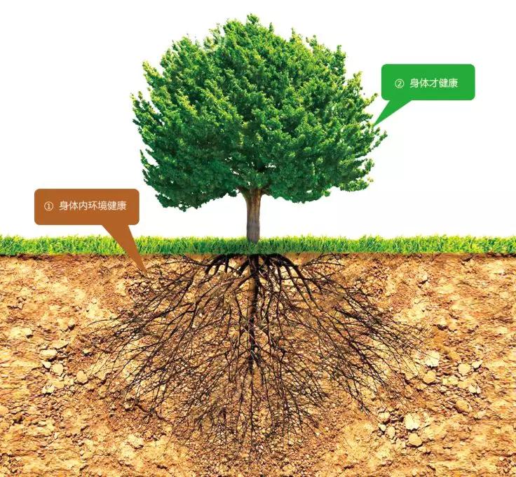 肿瘤复发是“天性”?降低肿瘤复发率一定要这样做!(图2)