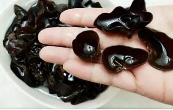 木耳被称为“血管清道夫”，常吃排毒抗肿瘤好处多(图2)