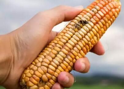 这些都是公认的一级致肿瘤物!现在看还不算晚(图2)