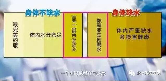 【水是水非】不爱喝水的人，很多都得了这3种病!(图1)