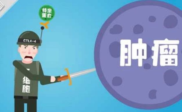 【关注】“糖”加速肿瘤细胞生长，肿瘤患者要戒“糖”吗?(图2)